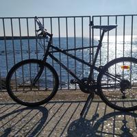 MTB Bianchi vintage