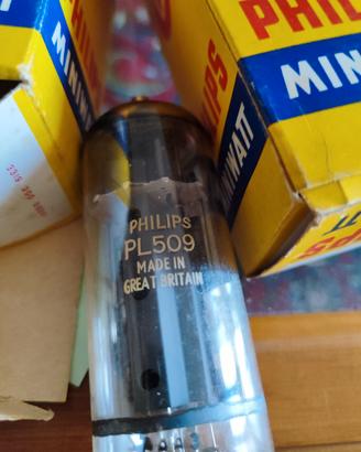 Valvole PL509 Philips (coppia)