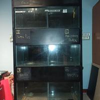 Acquario armadio 6 vasche  autonome professionale