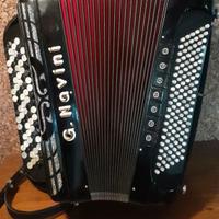 fisarmonica cromatica Navini  4°/5°.. 11+ 7 reg.