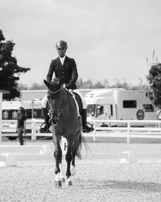 cavallo dressage