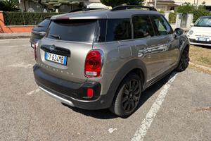 Mini Countryman One D