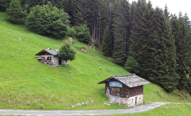 Baita/maso/rustico nella Valle del Lozen-Trentino