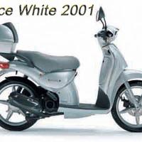 Accessori Aprilia Scarabeo 50 grigio