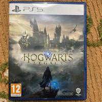 Hogwarts Legacy usato