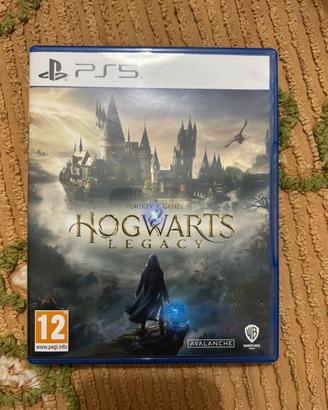 Hogwarts Legacy usato