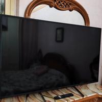 Sony TV KD 55×81J