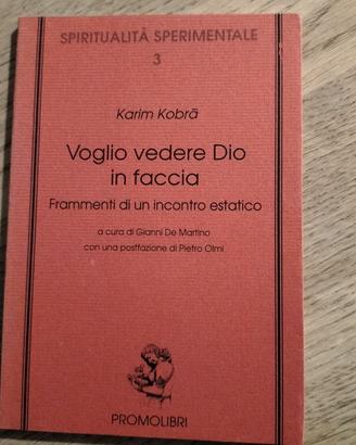 " Vedere Dio in faccia" di Karim Kobra