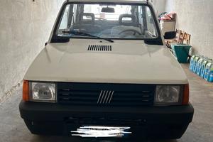 FIAT Panda 1ª serie 1100 i.e. cat Young