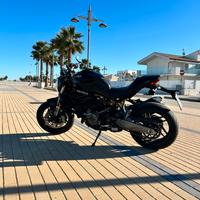Monster 821 - 2018