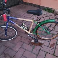 bici da 20 pollici con marce.