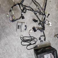 cablaggio rapid bike r1