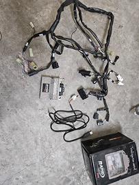 cablaggio rapid bike r1