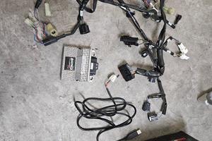 cablaggio rapid bike r1