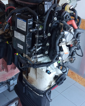 Ricambi Evinrude e-tec 40 ho