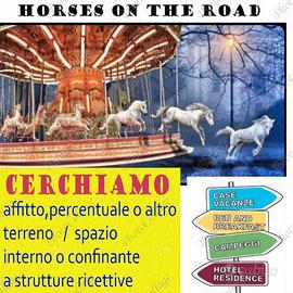 Struttura ricettiva x abbinare turismo equestre
