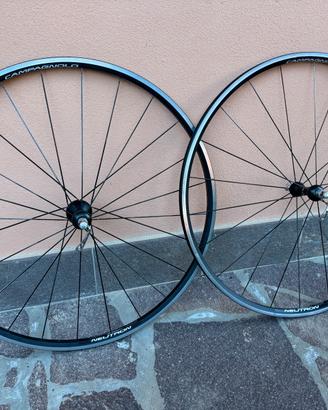 Campagnolo Neutron Asymmetric