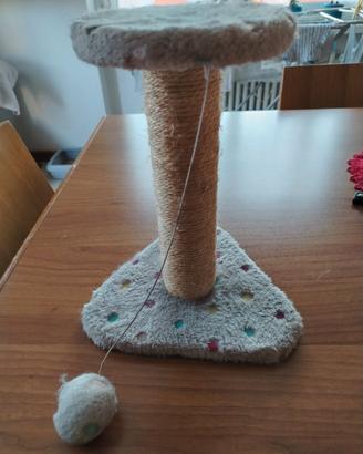 Piccolo tiragraffi per cucciolo gatto