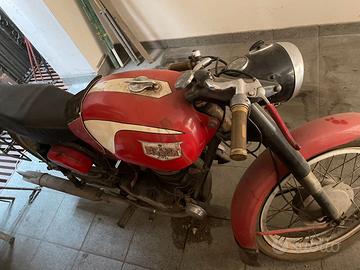 Moto Bianchi 175/4T