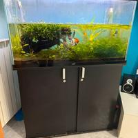 Acquario ciano 250L completo di mobile