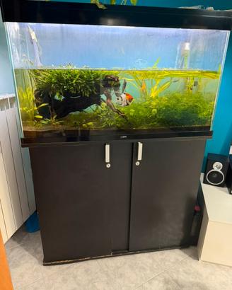 Acquario ciano 250L completo di mobile