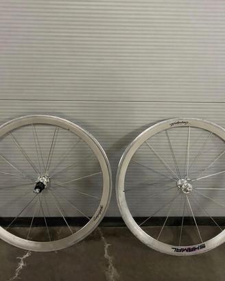 Campagnolo Shamal