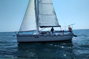 Focus 810 (27s) del 2024