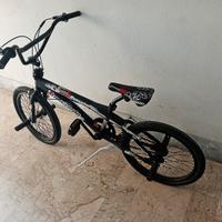 Lombardo Freestyle