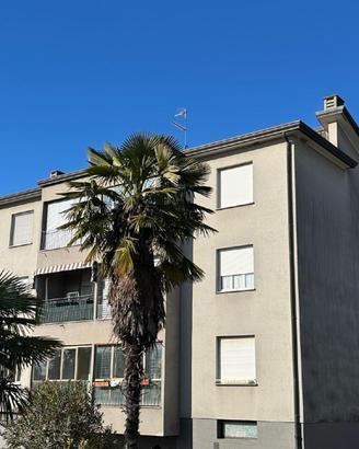 Pronto da abitare a Gorizia: appartamento con 2...