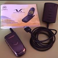 Motorola V51 