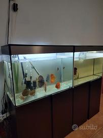 Acquario Ciano Emotion One