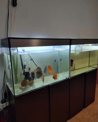Acquario Ciano Emotion One