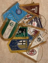 GAGLIARDETTI di TUTTE le squadre professioniste