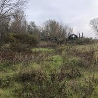 RGE 258/2024 Trib Pavia - LOTTO 1