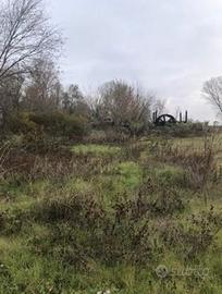 RGE 258/2024 Trib Pavia - LOTTO 1