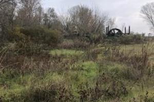 RGE 258/2024 Trib Pavia - LOTTO 1