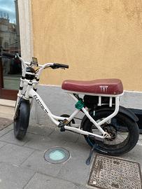 Fat e bike elettrica biposto