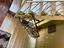 Immagine 30