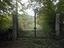 Immagine 9