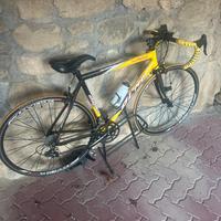 Bicicletta da corsa Olmo