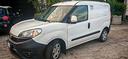 fiat-doblo-frigo-atp