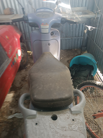 Scarabeo originale nuovo