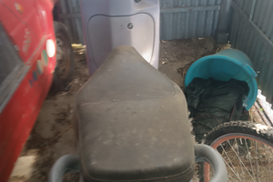 Scarabeo originale nuovo