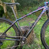 Mtb 29 sworks