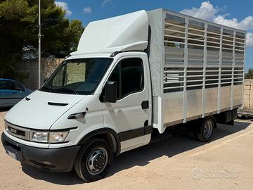 Iveco daily c17 trasporto animali