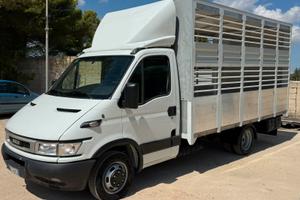 Iveco daily c17 trasporto animali