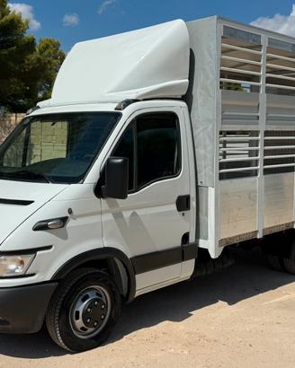 Iveco daily c17 trasporto animali
