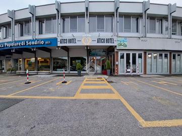 ATTIVITÀ A DESENZANO DEL GARDA