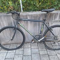 bicicletta bottecchia mtb