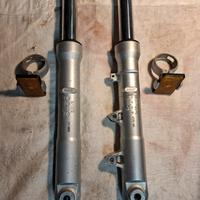 forcelle honda sh 125 2022